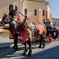prokopska-2012-1