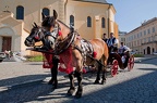 prokopska-2012-1