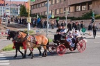 prokopska-2012-11